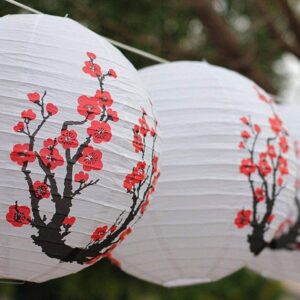 Drei japanische Kugellampen Kirschblüte